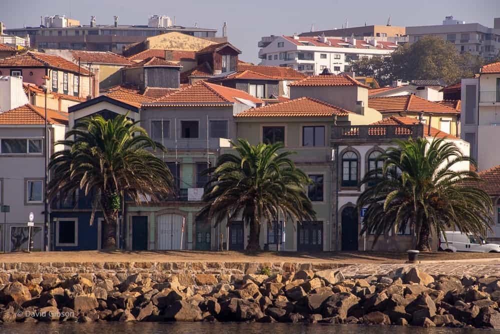 Porto-6.jpg
