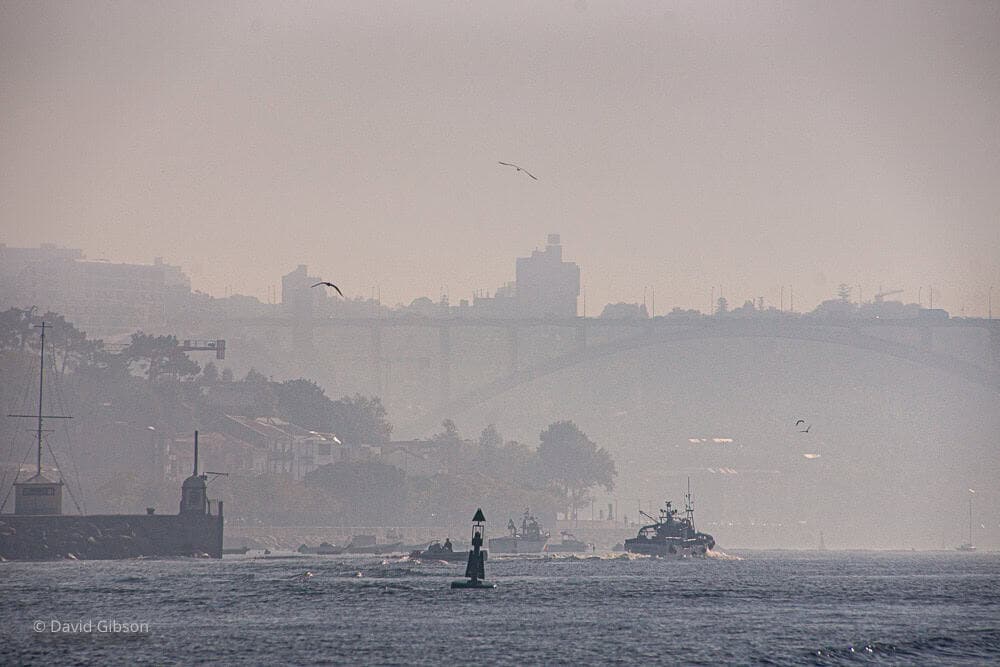 Porto-7.jpg