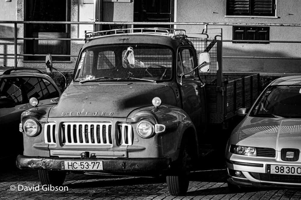 Portraits-17-3.jpg
